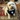 A small fluffy white dog wearing a black tuxedo-style bandana with a white collar and black bow tie, sitting on a red patterned rug in a home interior.