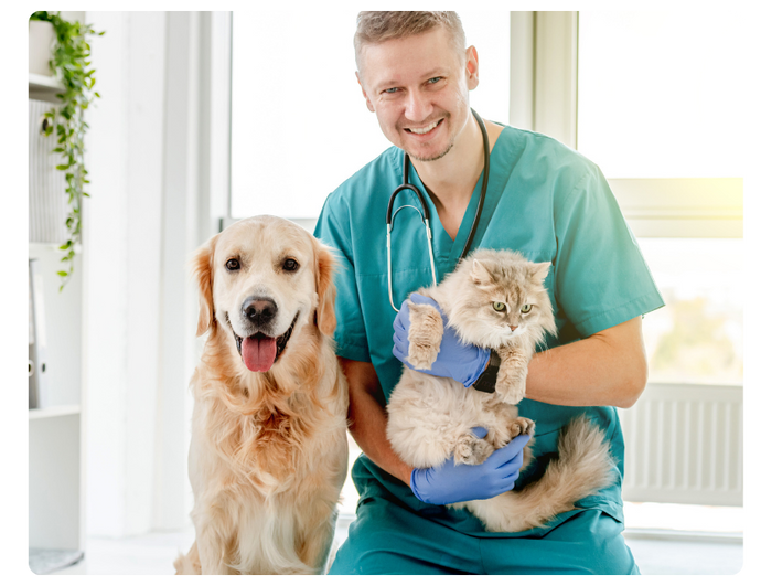 Veterinarian with dog and cat