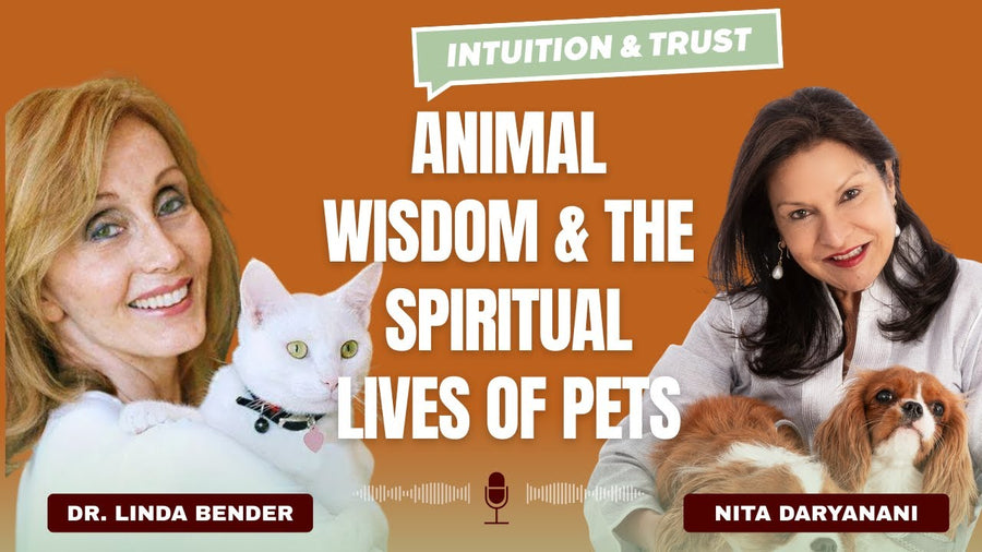 Animal Wisdom & The Spiritual Lives of Pets